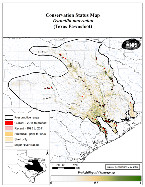 Truncilla macrodon range map